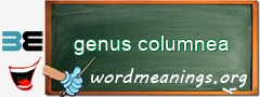 WordMeaning blackboard for genus columnea